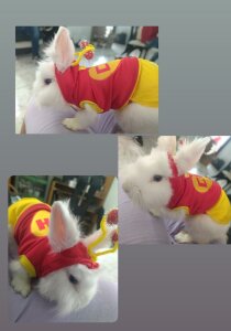 KOREN_JALAA MY PEPE♥ slika 5