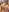 saskiapierce Naughty redhead pics 🥰😋 Pic 3