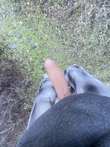 dhungym Public Pic 5