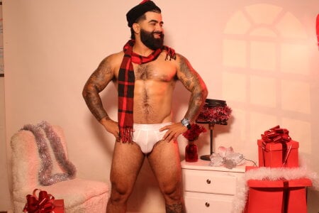 Lyon_vach Christmas leon Gambar