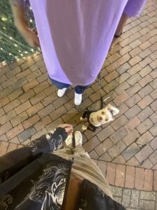 Lunita_5 My dog🐶🐾 Pic 2