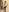 Vavi_Secret Rot, Brille, Nylons🔥 Pic