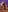 Analia_01 Body-ody 💦😈 Pic 7