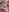 EVILYN Double Penetration With Double Sided Dildo Pic 7