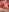 RARE 15. double fingerind (pussy and asshole) ⭐️Horny Content Wheel⭐️ de bambi_lu Fotos 5