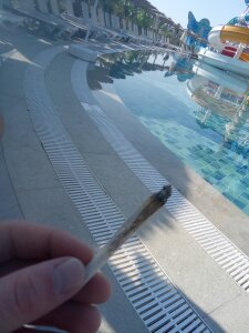 Bigdick420anal Bigdick Immagine  5