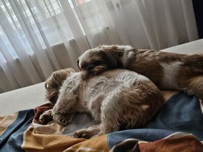 SophiaPotts Part of me صورة واحدة|SophiaPotts Part of me صورتان|SophiaPotts Part of me  4 صور|SophiaPotts Part of me  4 صورة