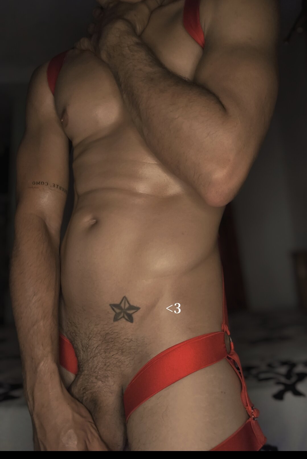 Трендове зображення  6328 logan-31