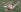 IsabelleEthan Wild and naughty in the forest 💥👀 Pic 8