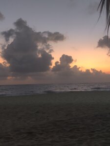 coco3367 Public Immagine  5