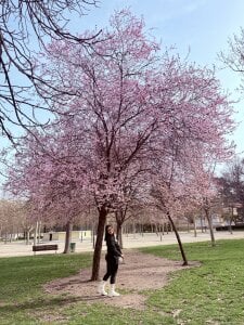 zui_lu I think I looked beautiful today and I want to share it💗🌸 зображення 2