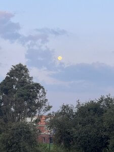 Velvet_Dreamss the eye of the landscape✨ Hình 4