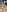 Javier_bear Full Naked & Horny Pic