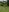 paola_rodriguez jungle🥵 Pic 2
