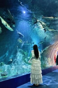 mimi_sex2k7 Public 사진