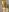 Eilin_clioWelcome照片 2