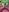 vixendoll87: I love you ❤️ ( 4 фото)