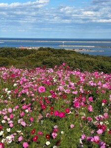 sasa_0002 Public Pic 4