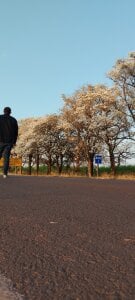 Leocesar37 Publico 圖片 6