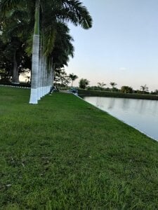 MIA-LARIOS 🌺 Foto 2