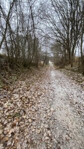 El_pepa_ Algo Bilde 2