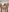 dariadoll Sexy Naked Pic