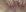 sexyjennyeu Nude Play #5 Pic 5