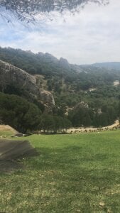 fuegovida Public Pic 4