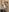 baby_brownie Public (PART 2) 사진 9
