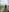 Mama_Eva_1 Naughty wet in rice farm 💦❤️ Photo 6