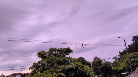 Yelly This is my April Pic 7