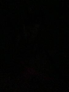 Transmlody: Public ( фото)