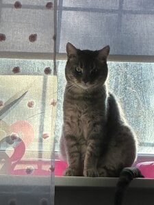 iiveran4ik Public Pic 5