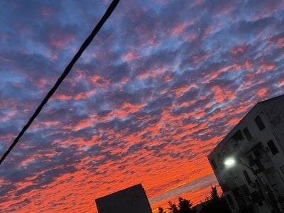 Public de roland_alex1  4 photos