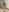 Melissarichard__Elegance, sensuality and mischief照片 6