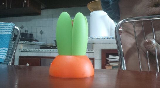 jhonschen's Cazzo in fiore Sex Photo 9