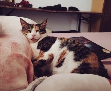 DakotaCandy my sweet babies Pic 5