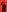 Fuc71 Red Rubber Pic 7