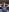 Carmen_Williams for my subscribers Photo 7
