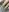 RuxyHugeTT42E nails/ feet/legs/hands Photo 8