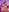 Sacha_Torres_01 hot love Pic
