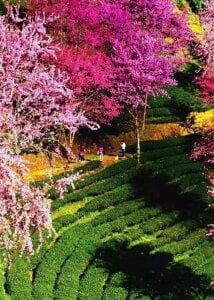 AngelwithEcup: 8 ( 5 фото)