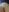 Alice_InWonderlust2025 Your name on my body Photo 7