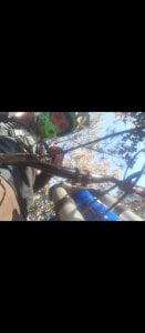 blakeli_peython: Public ( 2 фото)