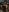 gunter_meiner Forest adventure 사진
