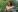 ClaraKay Topless trip Pic 3