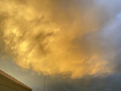 WormEatenCorpse New Pic 3