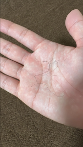 Hanabi-Hentai2nd 毛。毛です。 Pic