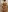 crystal_femmes Ruby Gote Shibari (lingerie) 사진 7