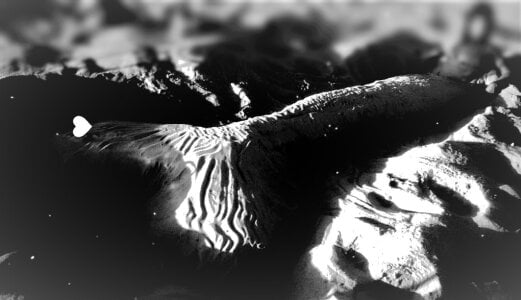 david_Y_steisy Public Photo 8